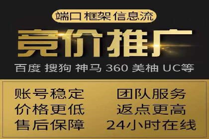 SEM托管成功案例：揭秘高效广告投放策略